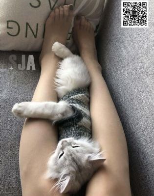 长相思免费完整版电视剧在线观看