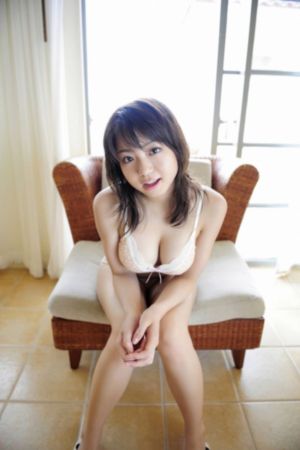 向日葵的绽放动画观看免费