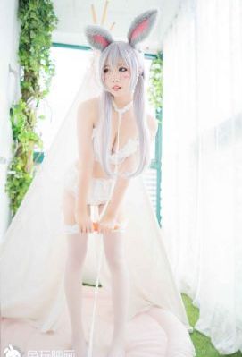 我们结婚了精灵夫妇全集