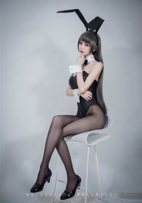 大猫儿追爱记 电视剧免费观看